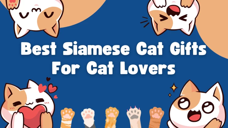 Best Siamese Cat Gifts For Cat Lovers