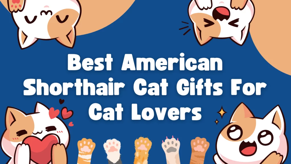 Best American Shorthair Cat Gifts For Cat Lovers