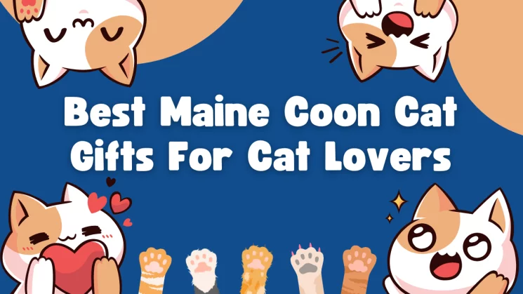 Best Maine Coon Cat Gifts For Cat Lovers